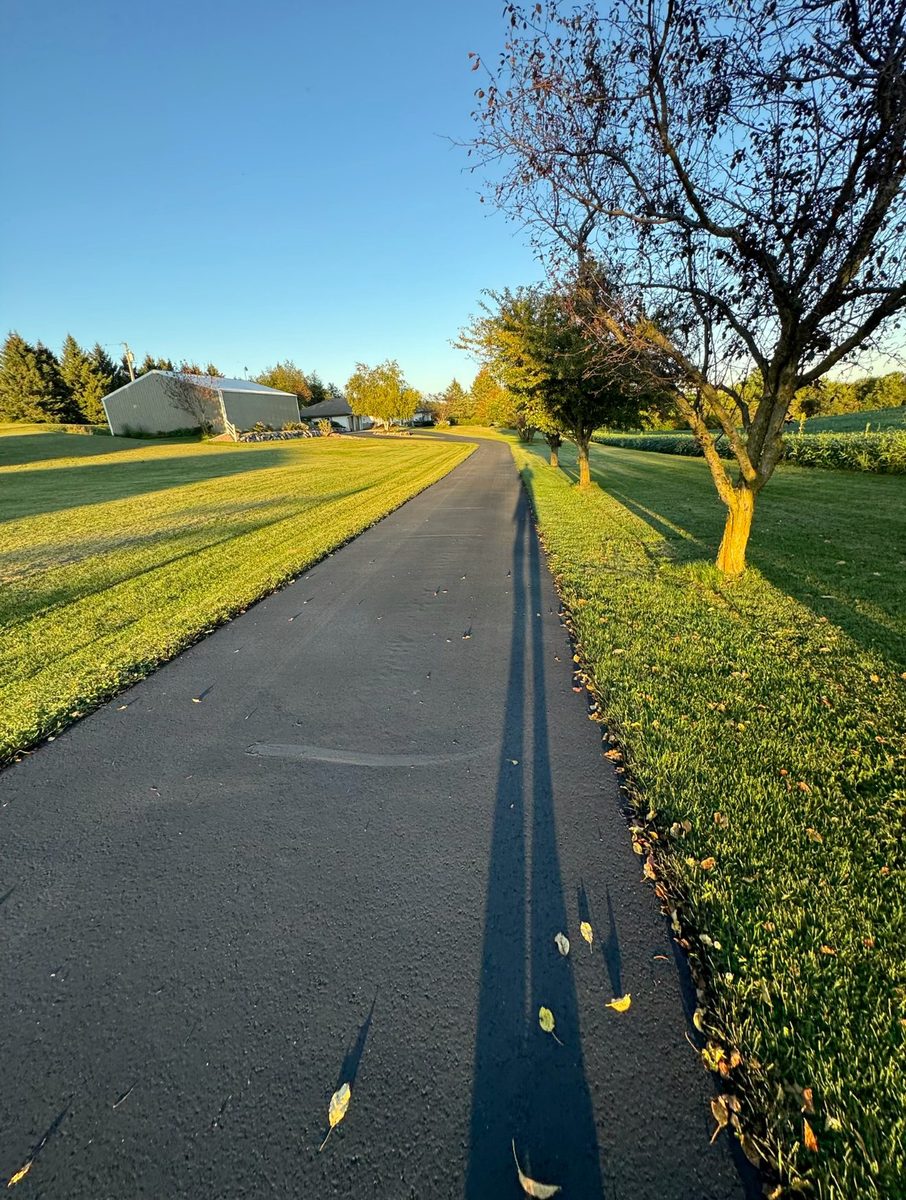 Freshly finished asphalt driveway bordered by grass and trees